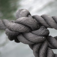 Survival Knots to Know
